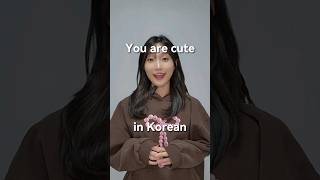 Download lagu 'You are cute.' in Korean language #learnkorean #koreanlanguage mp3 Download lagu 'You are cute.' in Korean language #learnkorean #koreanlanguage mp3