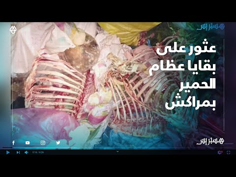 شهادات مواطنين عثروا على كمية كبيرة من بقايا عظام "الحمير" أمام مجزرة بمراكش
