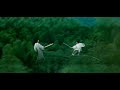 Through The Bamboo Forest (1 hour loop)