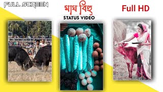 Magh bihu status | Bhogali bihu whatsapp status | Bihu video