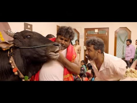 ಗೌಡನ ಹೆಂಡತಿ ಮಾಂಗಲ್ಯ ನುಂಗಿದ ದುನಿಯಾ ವಿಜಯ್ ಹೋರಿ | Dana Kayonu Kannada Movie Scene | Priyamani