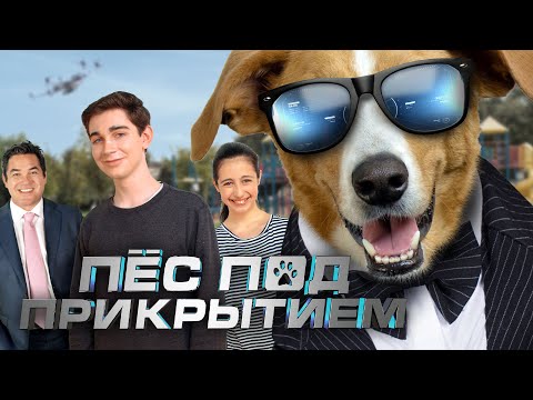 Пес под прикрытием. В кино с 29 июля