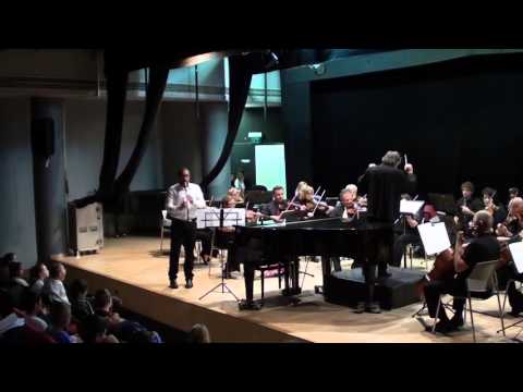 Carl Philipp Stamitz - Clarinet Concerto No. 3 By Roi Menahem and Ashdod's Symphony Orchestra