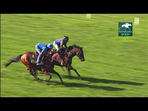 Lady Aurelia - work 09 26 17