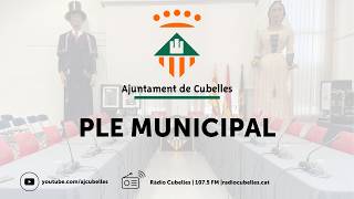 Ple extraordinari del 17 de juny de 2026