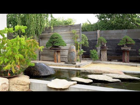 Luis Vallejo Bonsai museum, Madrid