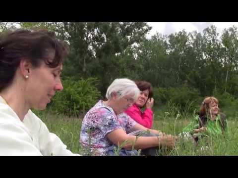 gyógynövények gyűjtése a kaukázusból pikkelysömörhöz hatékony gygyszerek pikkelysömör felülvizsgálata