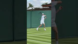 The power of Jannik Sinner's forehand in Wimbledon 🦊🌱🇬🇧