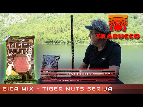 Goran Radovic Gica - Takmicarac i plotice