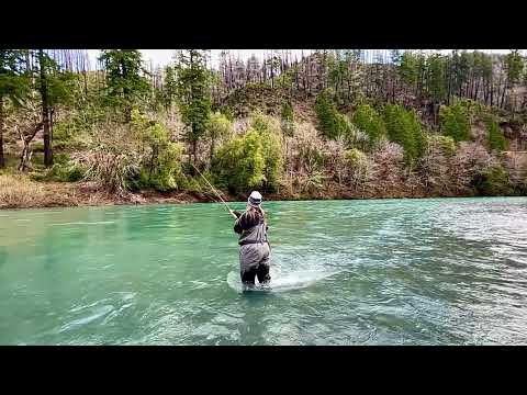 Snake roll cast | Steelhead fishing