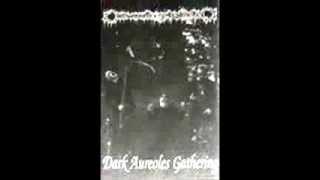 Darkwoods My Betrothed - Dark Aureoles Gathering(1994 Demo)(HQ + Lyrics)