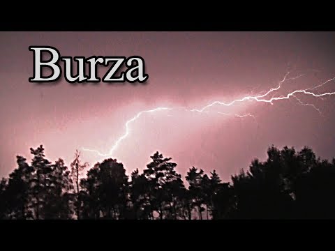 Ogrodowe pierdamony 26 - burza