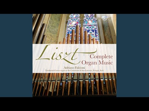 Weinen, Klagen, Sorgen, Zagen, S.179: I. Variationen