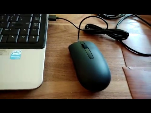 Dell optical mouse ms116