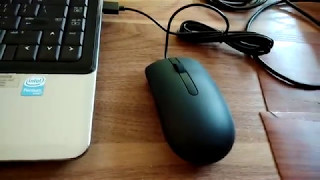 MS116 Dell Optical Mouse-570-AAIR Black