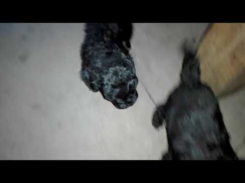 Besos y más besos de despedida.