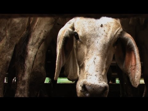 ALMA a film by Patrick Rouxel