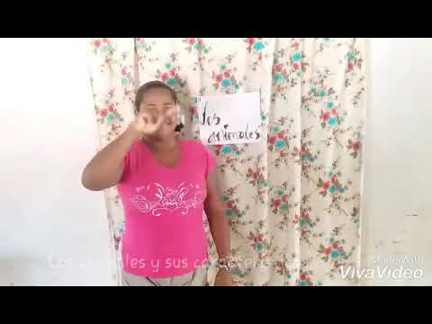 Los animales y sus características