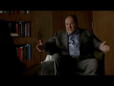 Tony Soprano's view on homosexuality