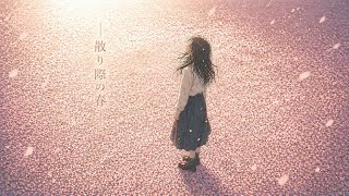 散り際の春 / ヤマモト一等兵【Official Music Video】