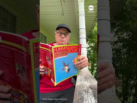 Hummingbird flutters around man reading book about how to attract hummingbirds