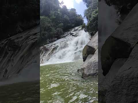 Velo de la novia Alejandría Antioquia