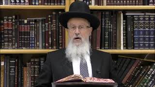 הגאון הרב אברהם יוסף שליט"א האם נשים יכולות לברך על ההלל בימי החנוכה (הרב אברהם יוסף) - התמונה מוצגת ישירות מתוך אתר האינטרנט יוטיוב. זכויות היוצרים בתמונה שייכות ליוצרה. קישור קרדיט למקור התוכן נמצא בתוך דף הסרטון