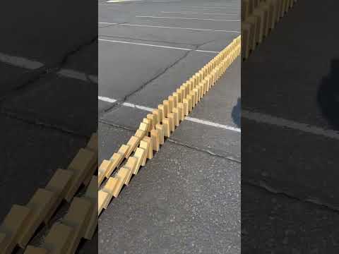 You can’t win them all. #you #race #dominos