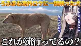 モンゴル犬の流行りに困惑する儒烏風亭らでん【ホロライブ切り抜き】