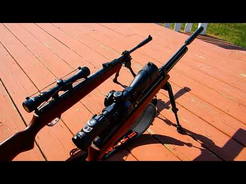 Hatsan AT-44 and MOD 95 Vortex both .25 CAL comparison