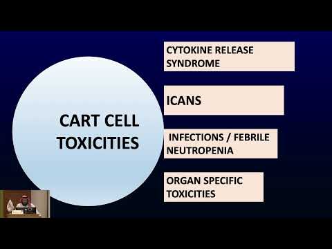 08 CAR T-cell Therapy – Local experience (KFSH&RC) | Dr. Ibrahim Al Ghemlas | 14 Sept 2024