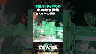 存在しないティアキンのボスキャラ集【ゼルダの伝説 ティアキン】
