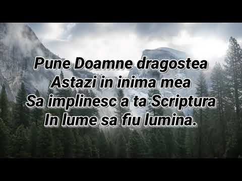 Negativ (original) si versuri - Pune doamne dragostea - Fernando din Barbulesti