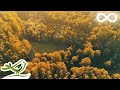 10 Hours of Calming Piano & Guitar Music - Sleep, Chill, Relax, Yoga, BGM (Early in the Morning)