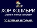Po sumama i gorama 