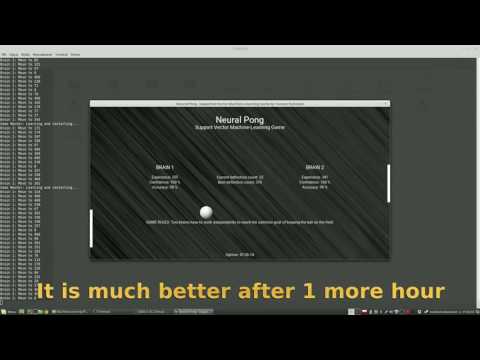 Weekend Project - Machine Learning NeuralPong Game