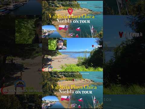 NIEBLA y su Playa Chica,Región de Los Ríos, Ruta Tour #valdivia