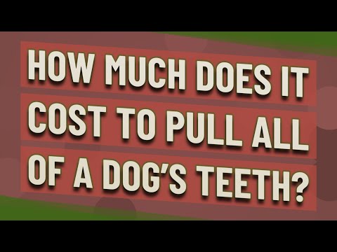 How much does it cost to pull all of a dog's teeth?