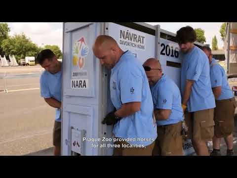 Mongolia Prague Zoo 2023 EN