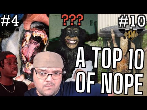 10 Most Disturbing Ways Animals Can Hunt You - Reacting to Casual Geographic