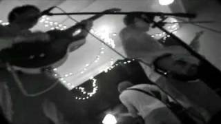 Desaparecidos - Survival of the Fittest / It&#39;s a Jungle Out There