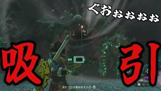 全てを丸呑みしてしまうヤバいカエルがいた。【ゼルダの伝説 ティアーズオブザキングダム】