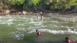 sexy people pitbull ;)