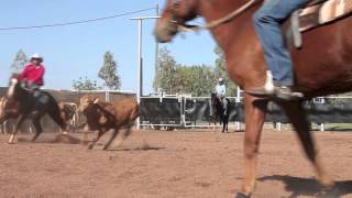 preview picture of video 'Dualin Pepto & Drew Stevenson  Mitchell Livestock Snaffle Bit Cutting'