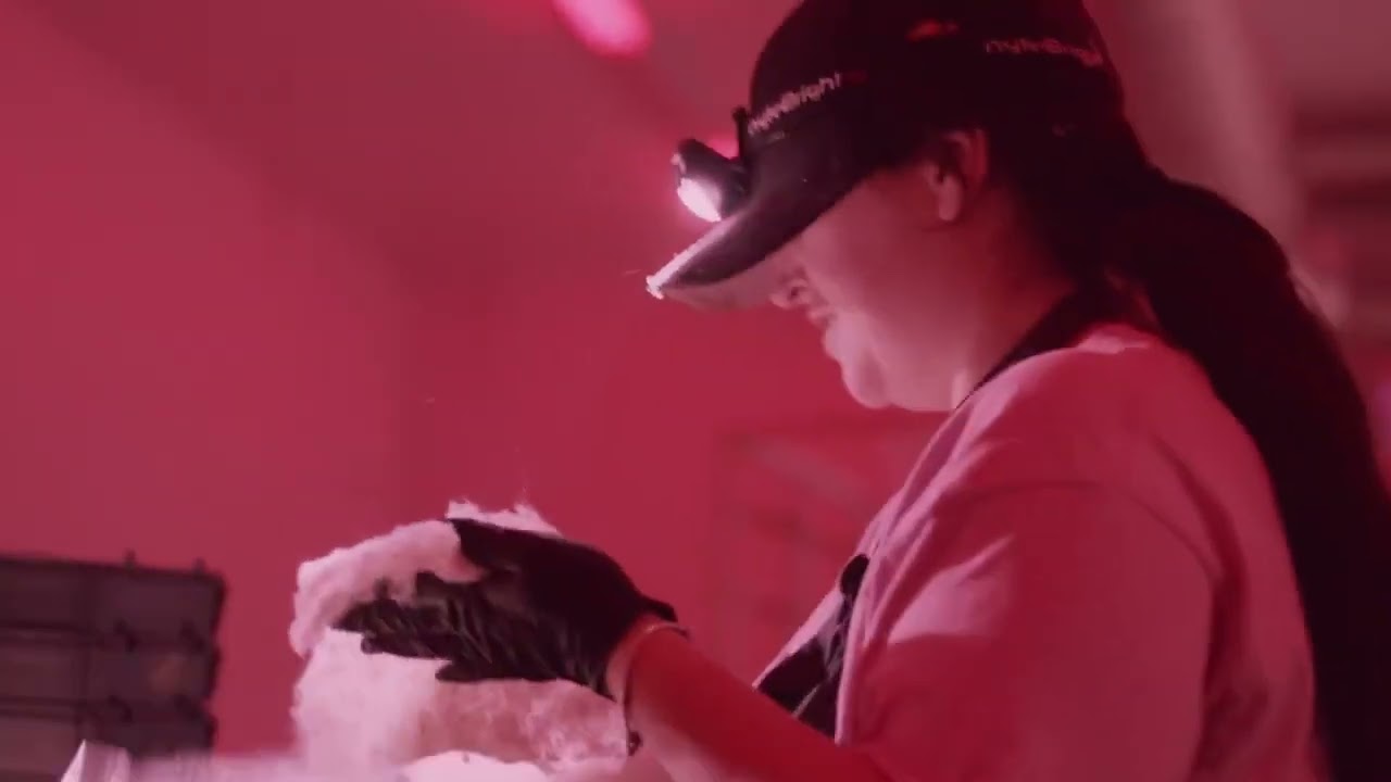 Video preview poster