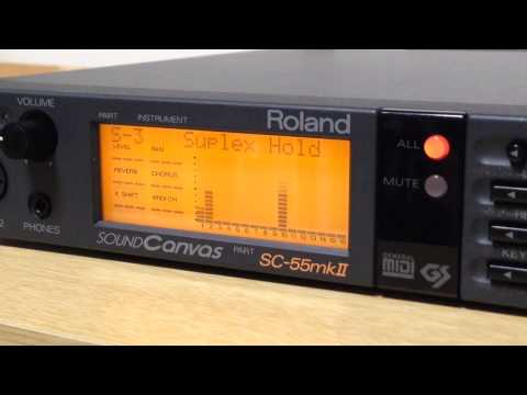 Roland Sound Canvas SC-55 MIDI Sound Generator 1991 - 1993 - Black + with Remote Controller & Original Power Supply image 8