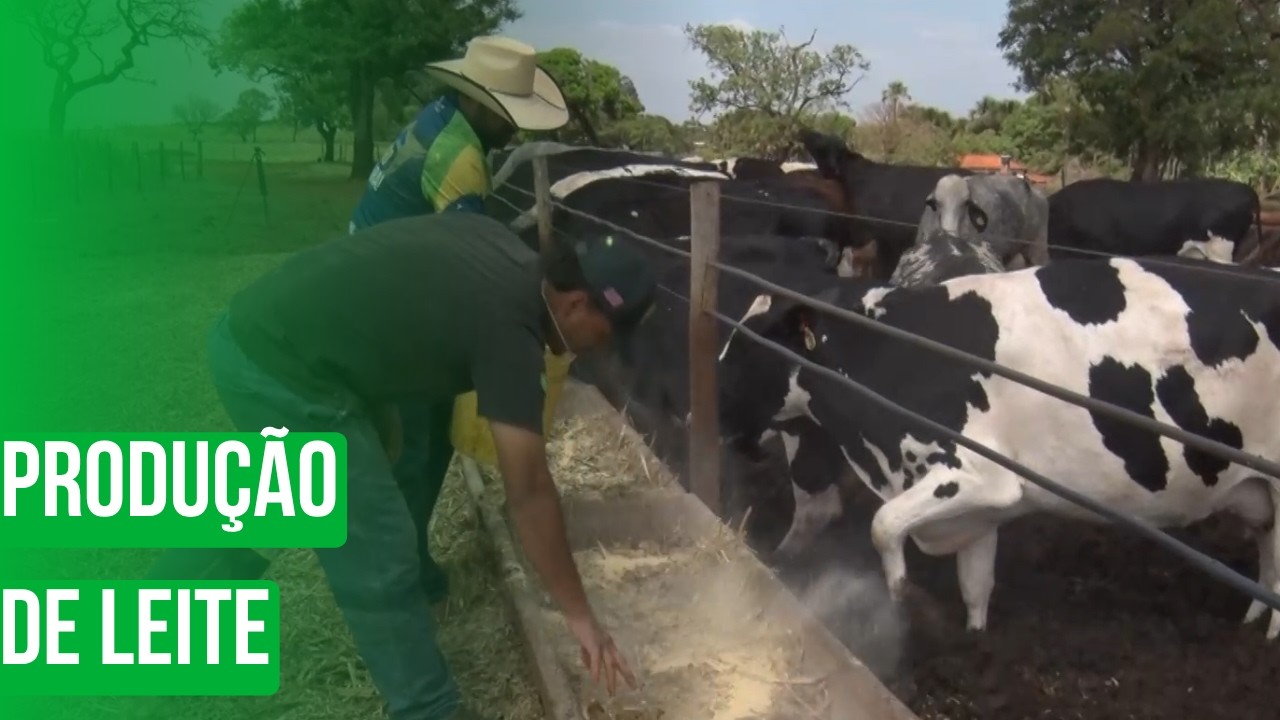 Produção de leite