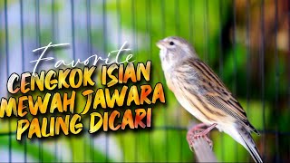 Download lagu MATERI ISIAN MEWAH JAWARA ! MASTERAN KENARI ISIAN BLACKTHROAT GACOR PALING DICARI #55 mp3 Download lagu MATERI ISIAN MEWAH JAWARA ! MASTERAN KENARI ISIAN BLACKTHROAT GACOR PALING DICARI #55 mp3
