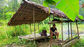 Download lagu Suku Dayak || Berburu selepas Hujan Deras, Hutan Kalimantan punya segalanya mp3 Download lagu Suku Dayak || Berburu selepas Hujan Deras, Hutan Kalimantan punya segalanya mp3