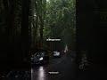 Tum Se Hi Song Status Aesthetic Status Shorts Viral Lyrics Fyp Youtubeshorts Ytshorts
